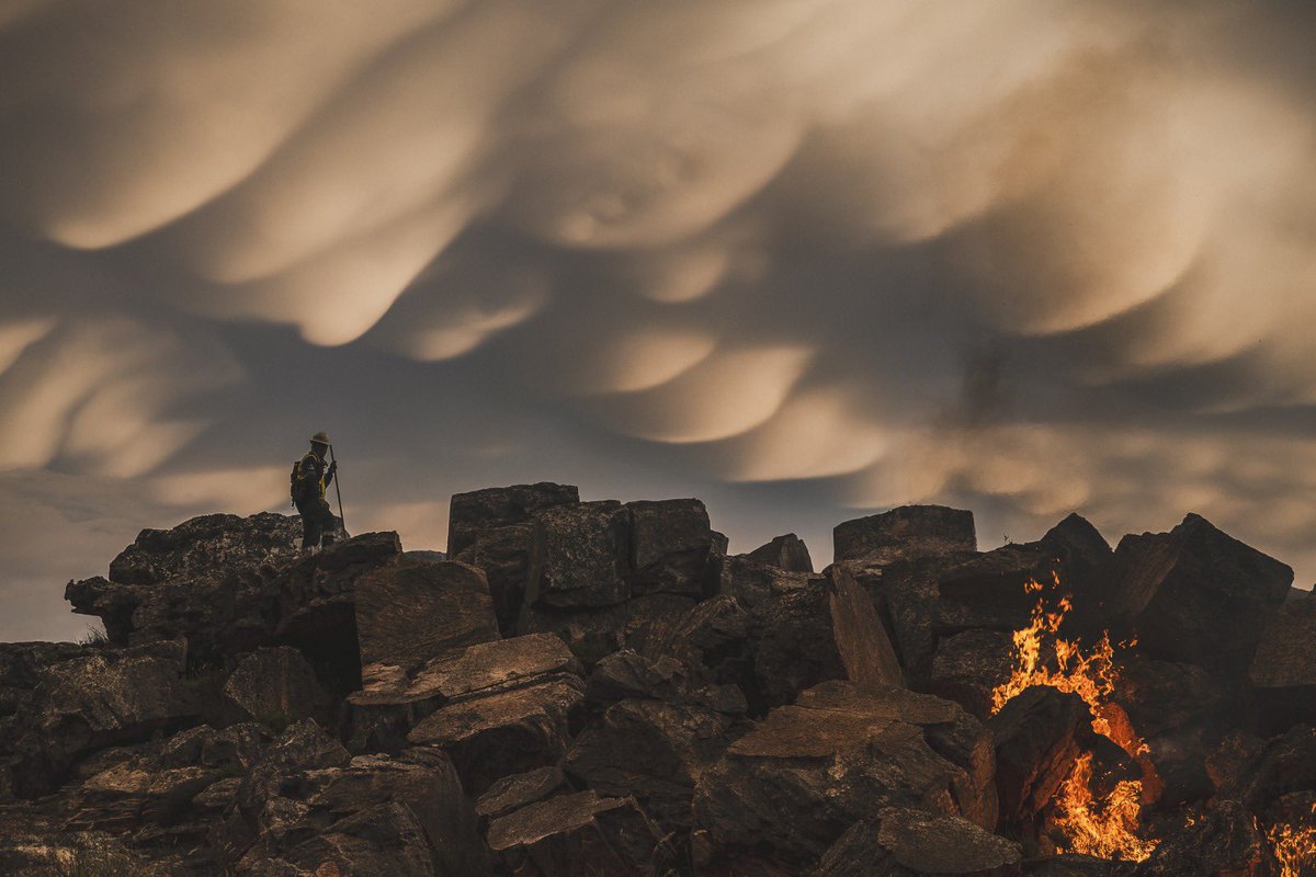 NCC Wildfires tweet media