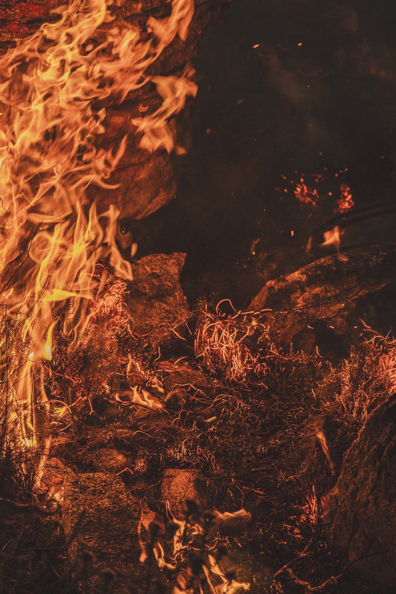 NCC Wildfires tweet media