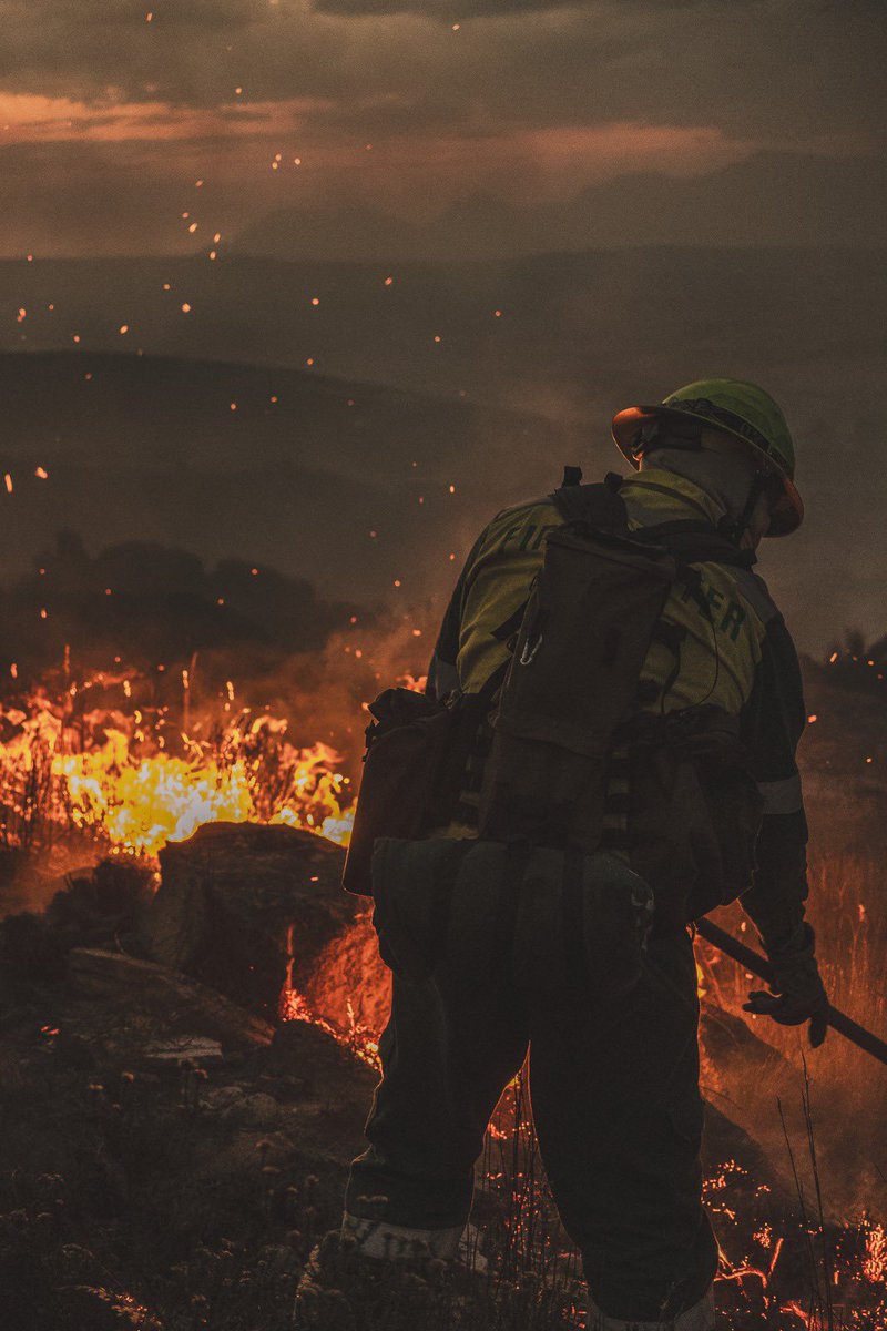 NCC Wildfires tweet media