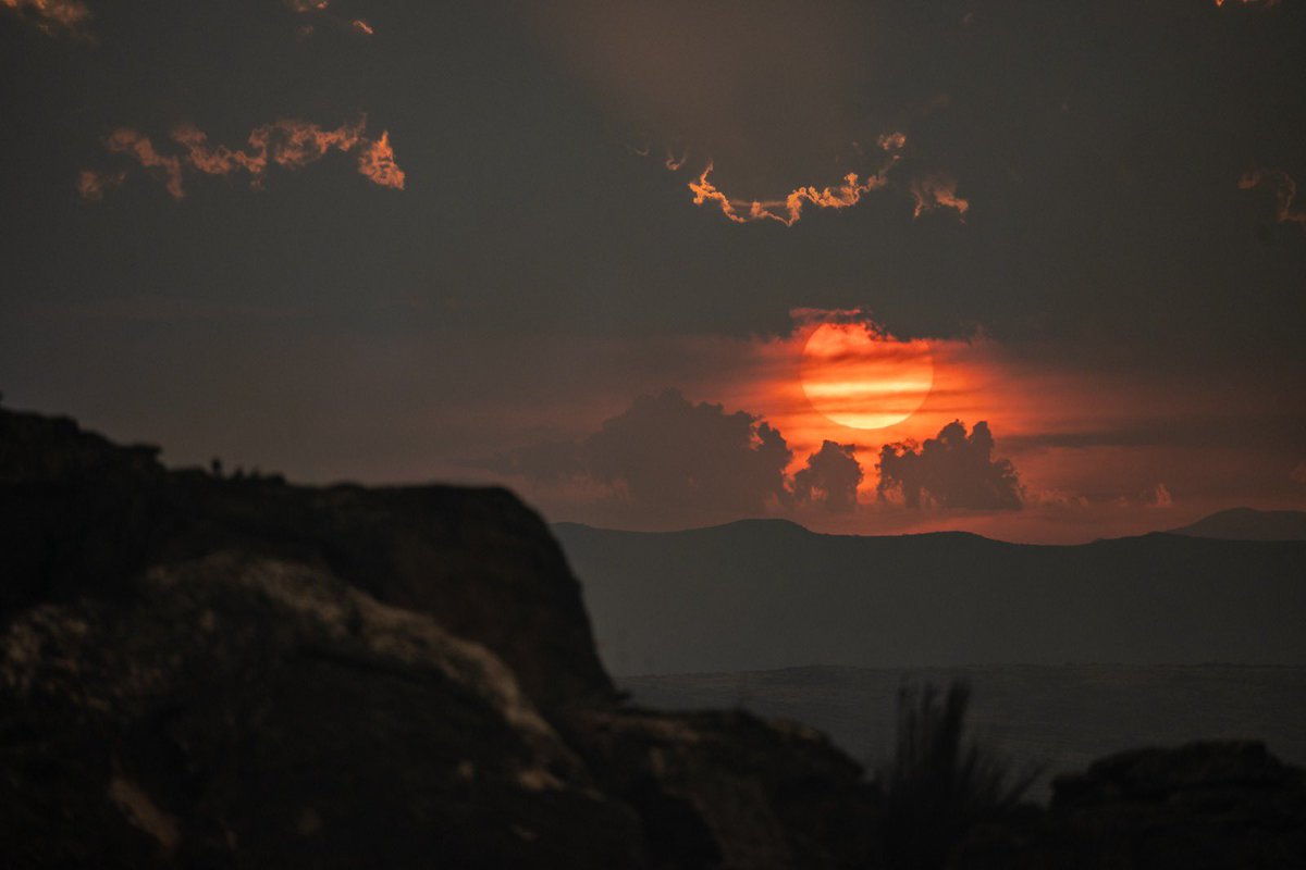 NCC Wildfires tweet media