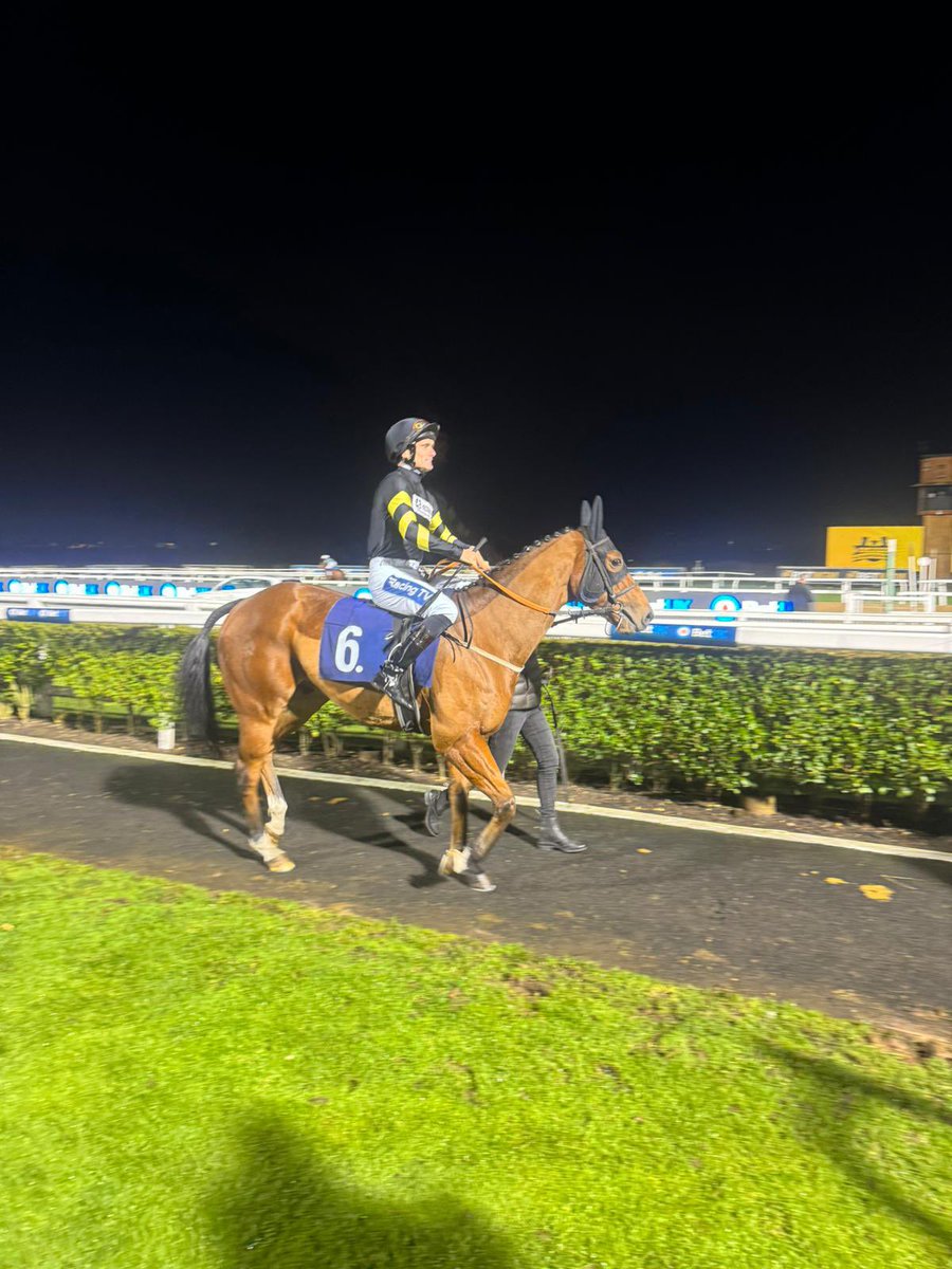 Golden rainbow to run in the 8.30 at <a href="/NewcastleRaces/">Newcastle Racecourse</a> this evening for <a href="/RebeccaMenzies/">Rebecca Menzies</a>. Good luck to  <a href="/loughnane_billy/">Billy Loughnane</a> who takes the ride