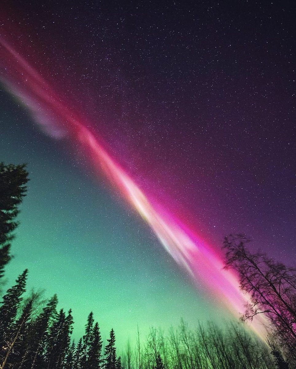 earthcurated's tweet photo. Breathtaking aurora views over Finland 💫 https://t.co/upF63m5uMo