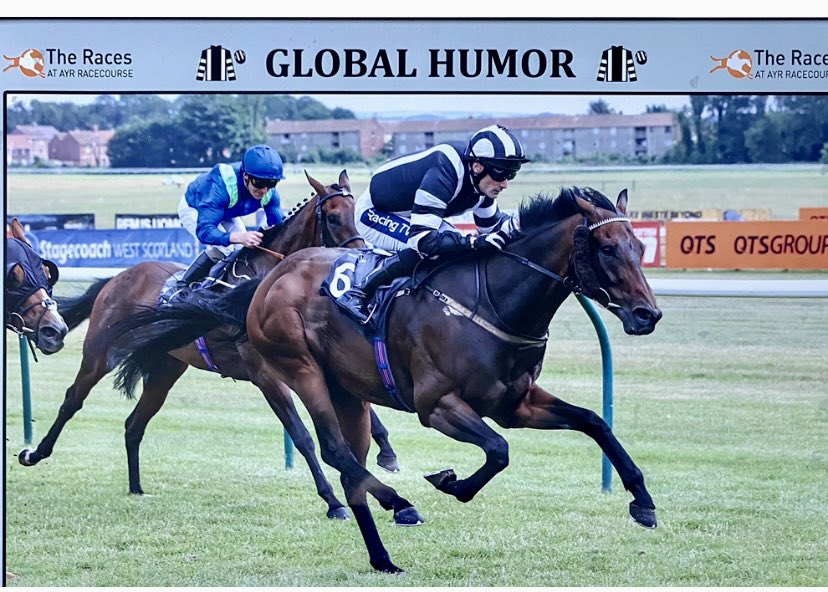 Paul Stewart (@paulstewart62) on Twitter photo The old boy goes to Newcastle tonight. GH aka βRoyβ Back in the day he could carry them all home, letβs hope he romps in π Very best of luck to <a href="/PMulrennan/">Paul Mulrennan</a> who rides. Come on mate get those Geordie colours back in the winners enclosure ππππ€π€ <a href="/JimGoldieRacing/">Jim Goldie Racing</a> The old boy goes to Newcastle tonight. GH aka βRoyβ Back in the day he could carry them all home, letβs hope he romps in π Very best of luck to <a href="/PMulrennan/">Paul Mulrennan</a> who rides. Come on mate get those Geordie colours back in the winners enclosure ππππ€π€ <a href="/JimGoldieRacing/">Jim Goldie Racing</a>