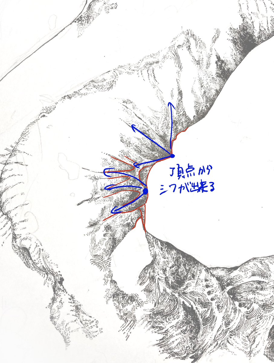 首の後ろの皮、上手くいった
歪みが多い部分は描くのが難しい分、上手くいくとカチッとはまる
#ペン画 #アナログ #イラスト 