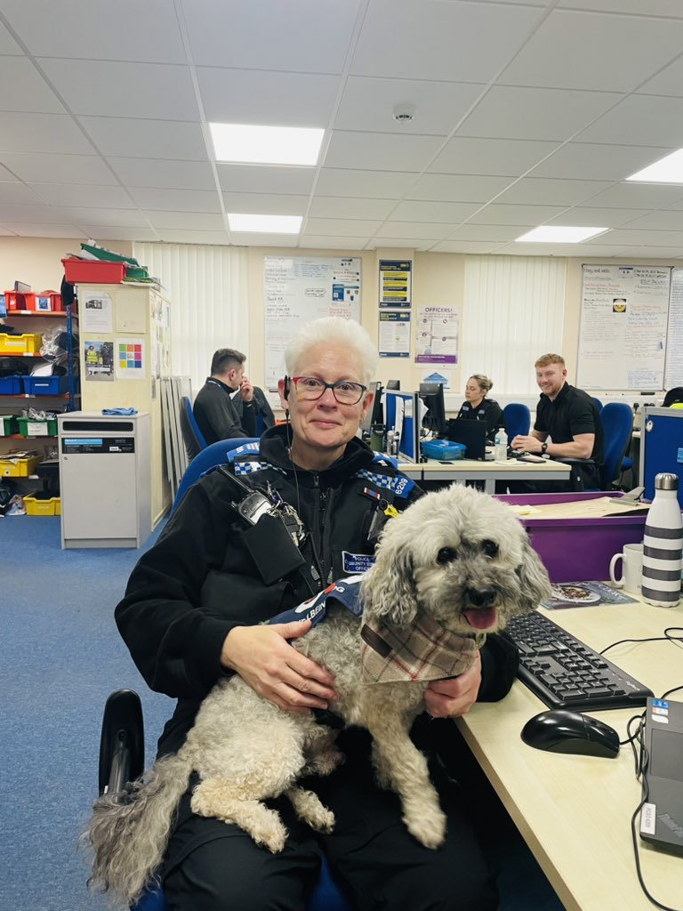 Karen Kempton and Beau 🐩 (@karenkempton6) on Twitter photo Beau having a lovely time at Malvern police station. SNT thank you for making us so welcome <a href="/WMerciaPolice/">West Mercia Police</a> <a href="/OscarKiloNine/">OscarKilo9</a> <a href="/MalvernCops/">Malvern Cops</a> Beau having a lovely time at Malvern police station. SNT thank you for making us so welcome <a href="/WMerciaPolice/">West Mercia Police</a> <a href="/OscarKiloNine/">OscarKilo9</a> <a href="/MalvernCops/">Malvern Cops</a>