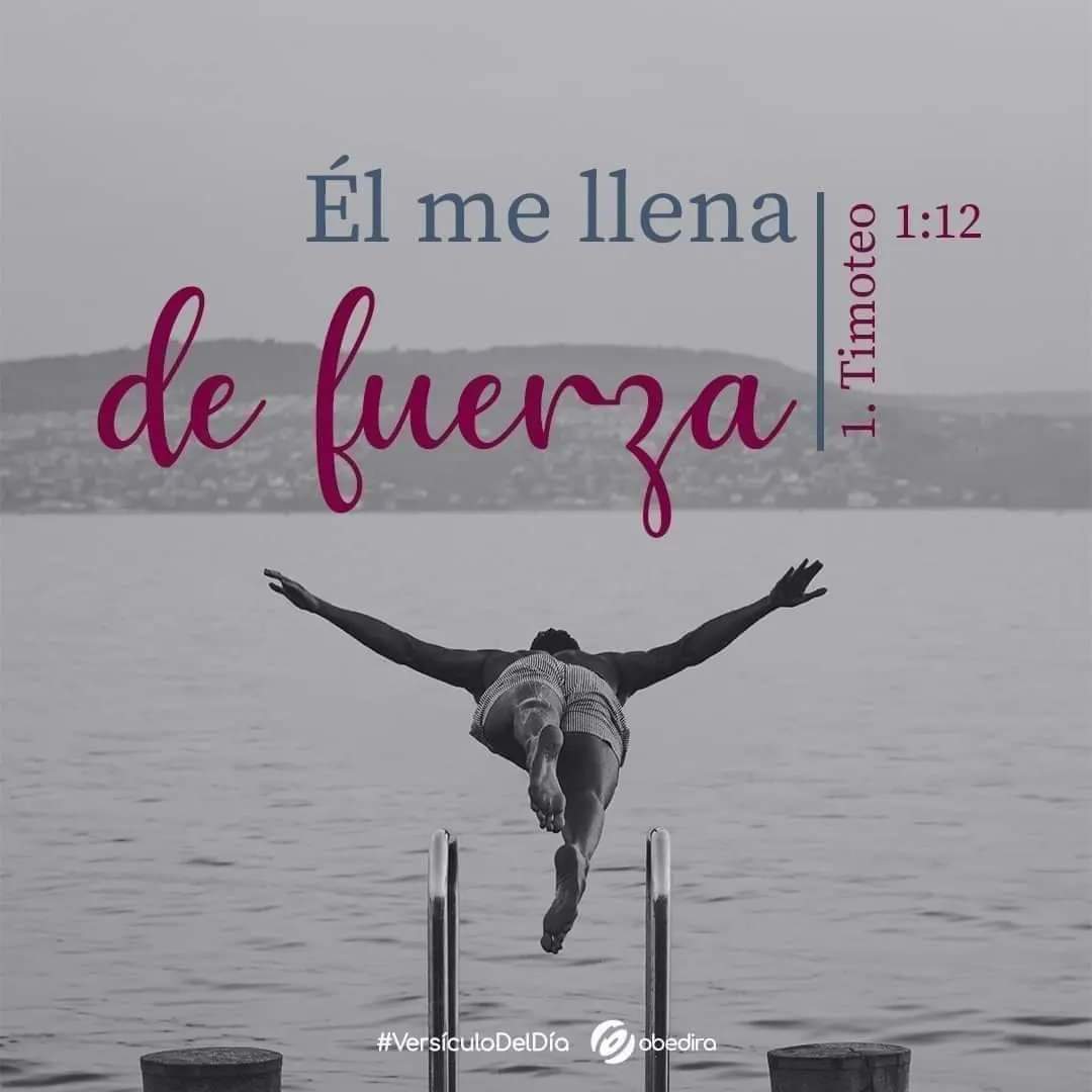 stella_azuaga's tweet photo. #VersículoDelDía
"Le doy gracias a Cristo Jesús nuestro Señor,quien me ha dado fuerzas para llevar a cabo su obra. Él me consideró digno de confianza y me designó para servirlo"
Muchos son los llamados, pocos los elegidos,unidos en 🙏 pidiendo por la sanidad de los #pyos,#BsDs🌻 https://t.co/rocDzXdTS6