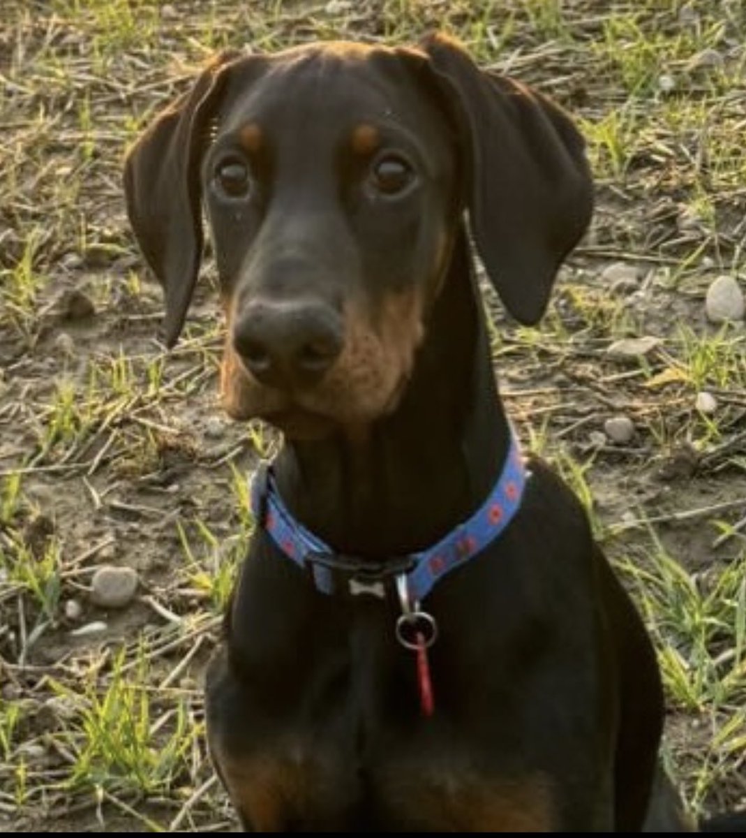 LaganMakin tweet media