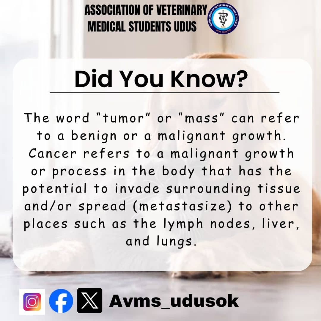 avmsudusok's tweet photo. _Find out more about Animal cancer and managements from your local Vet today_ https://t.co/98yfeuEHxH