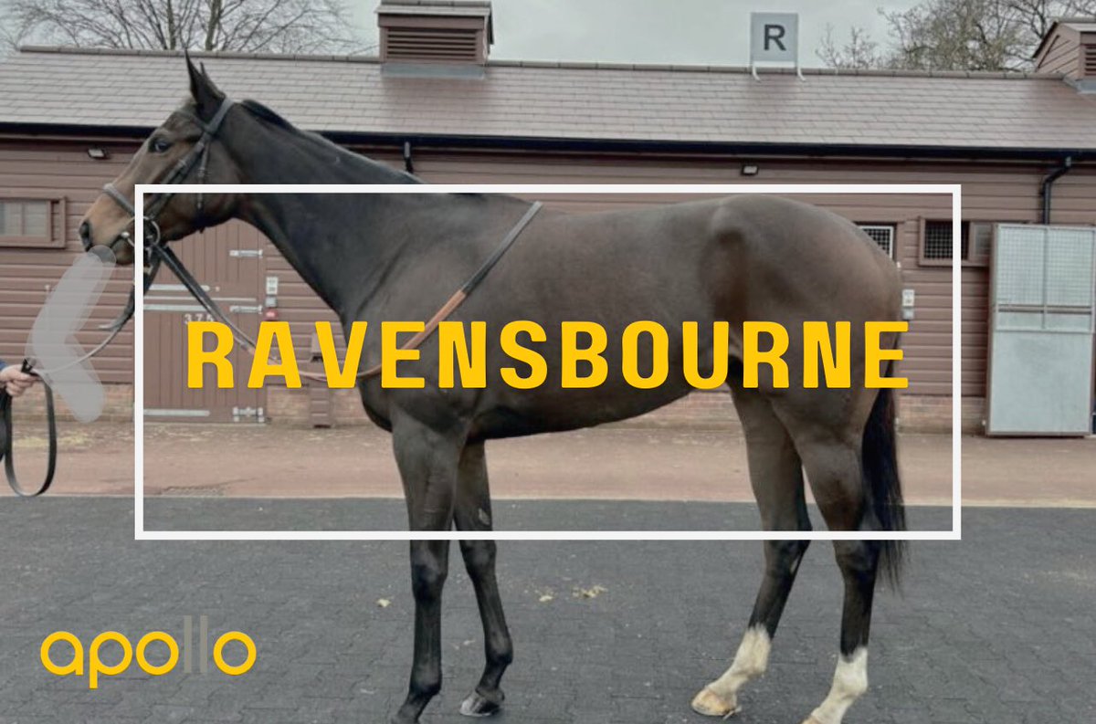 apollohorses's tweet photo. Two new signings this week ✍️ 

DM for further information. 

#ShareInTheFun https://t.co/osOqugJbfI