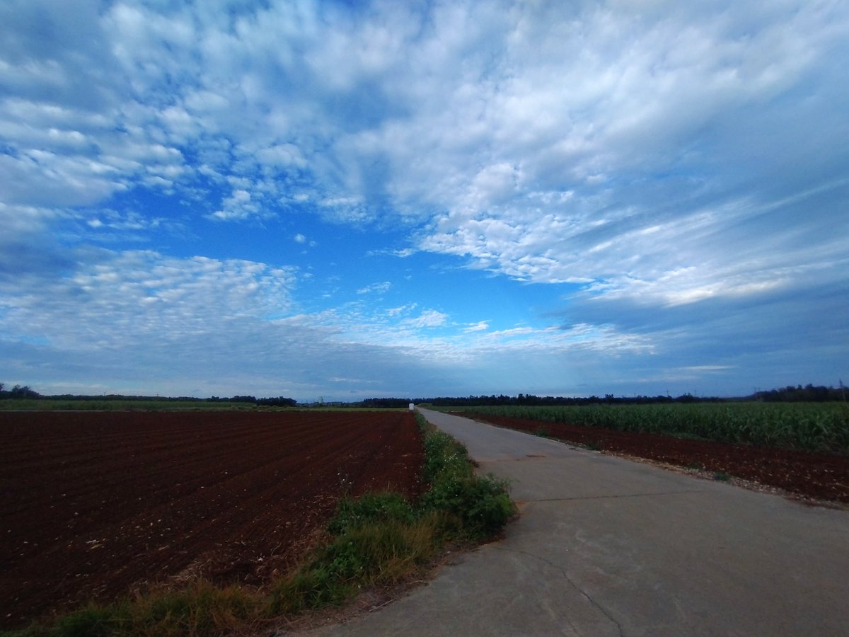 yypp's tweet photo. 2 hours run. just for fun.
別府大分マラソン
下田選手の粘り強い走り最高でした!
マラソンランナーの二の腕に憧れます
1秒を削り出す前に脂肪を削ります!
#ランニング
#離島
#海
#Ladybag https://t.co/RZDEGdH0ls