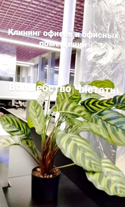 VolsebstvoCisto's tweet photo. Клининг офисов и офисных помещений. ✅Все виды клининговых услуг. ✅Услуги клининга ✅Минск |Клининг | Минск
#cleaning_vminske #cleaning #cleaningminsk #uborka #office https://t.co/YRCzPxdPpD