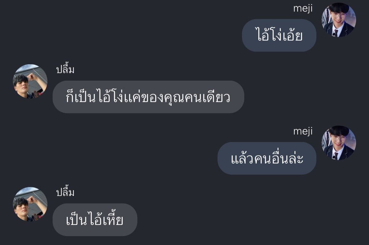 ก็เป็นไอ้โง่ของคุณคนเดียว