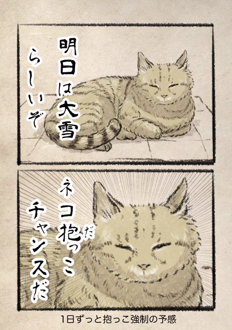 フォロワー2000人ありがとうございます。 