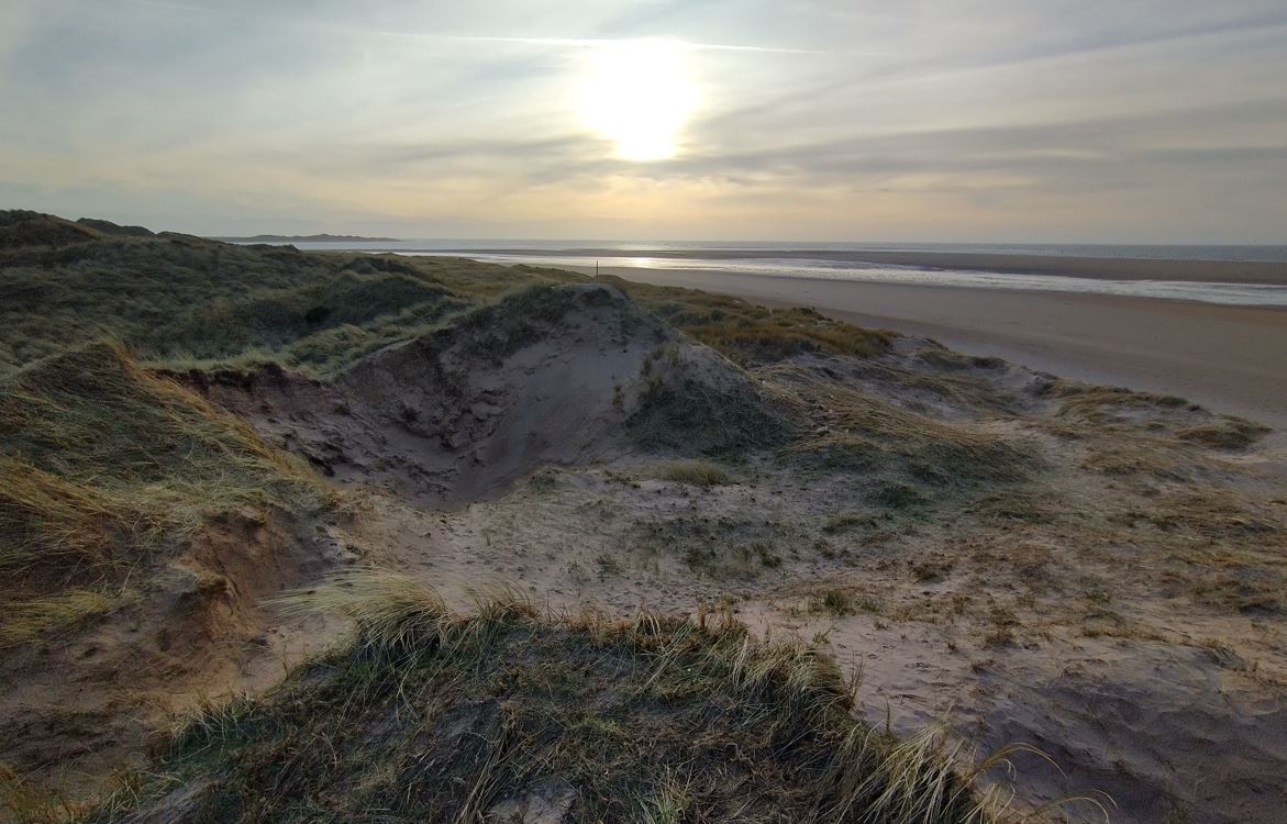 Neil Forbes (@treebeard_793) on Twitter photo Cracking afternoons birding at <a href="/ntsandscalehaws/">NT Sandscale Haws NNR</a>
yesterday.
3,000+ waders feeding on the mudflats & 750+ Eider, Short-eared Owl & Barn Owl in the dunes.
Just several thousand reasons why it's essential that we #SaveRoanhead <a href="/WandFCouncil/">Westmorland and Furness Council</a> ?
<a href="/saveroanhead/">Save Roanhead</a>
app.bto.org/birdtrack/pubc… Cracking afternoons birding at <a href="/ntsandscalehaws/">NT Sandscale Haws NNR</a>
yesterday.
3,000+ waders feeding on the mudflats & 750+ Eider, Short-eared Owl & Barn Owl in the dunes.
Just several thousand reasons why it's essential that we #SaveRoanhead <a href="/WandFCouncil/">Westmorland and Furness Council</a> ?
<a href="/saveroanhead/">Save Roanhead</a>
app.bto.org/birdtrack/pubc…
