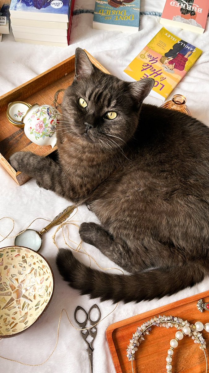 Trying to take content, my “helper” isn’t helping 

#booktwt #BookTwitter