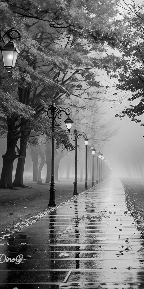 Sakis foto tweet media