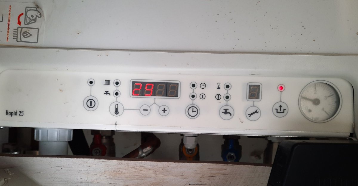 Tom Freeman tweet media