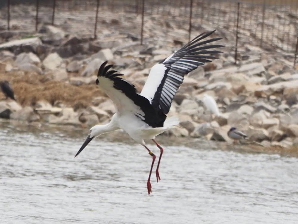 kake3's tweet image. あやとくんに逢えた😊