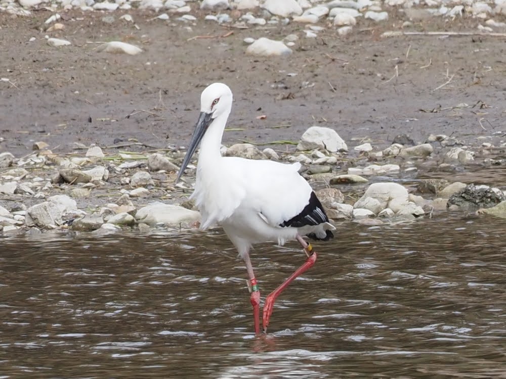 kake3's tweet image. あやとくんに逢えた😊