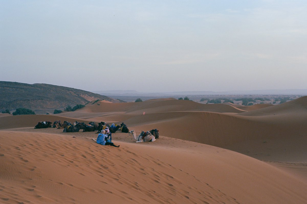Sahara 🐪
📍#Merzouga, #Morocco. 🇲🇦
🗓️ 1 Nov 2023
📷 #Minolta #MinoltaSRT303b
🎞️ #KodakEktar100 #KodakProfessional #Kodak 
#film #filmphotography
