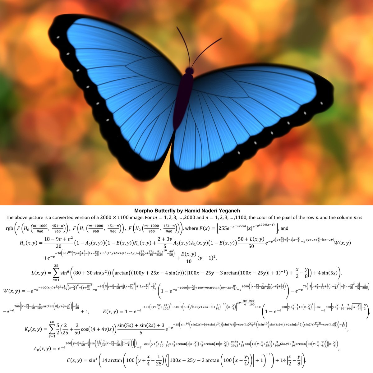 I drew this morpho butterfly with mathematical equations.