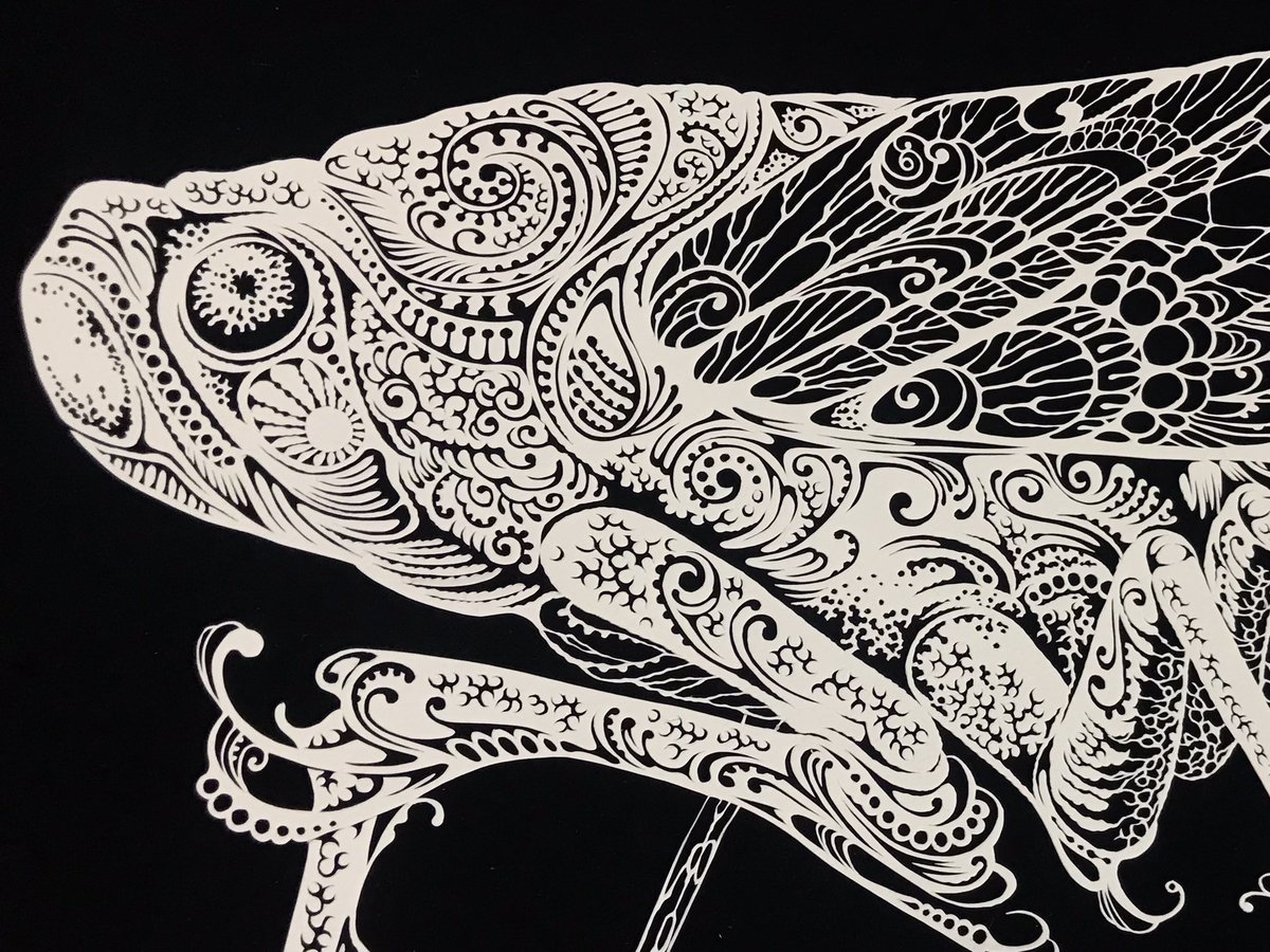 『孔雀羽衣』
クジャクハゴロモという神秘的な虫の画像に衝撃を受けて制作しました。
クジャクハゴロモに孔雀の羽をつけたら美しかろうと思ったら想像以上の美しさでした。(自画自賛)
#切り絵 