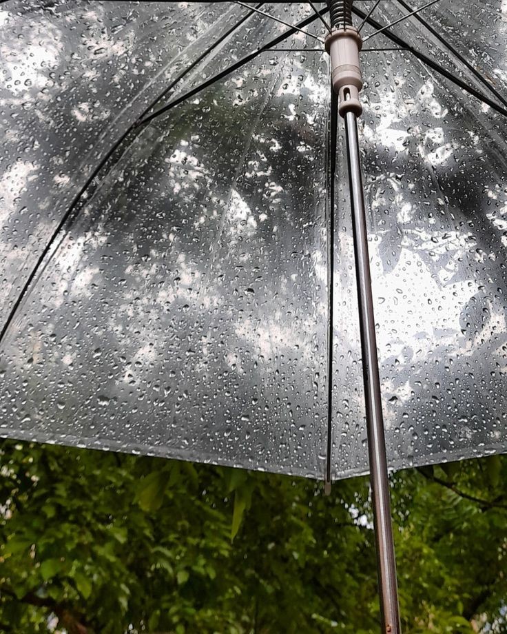 elemmiressoul's tweet photo. love of rain. https://t.co/6ZwM7ducoQ