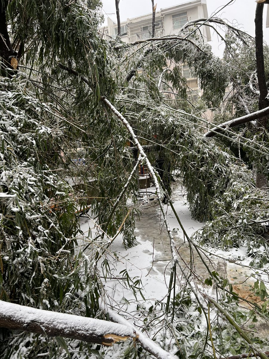 appiah's tweet image. 