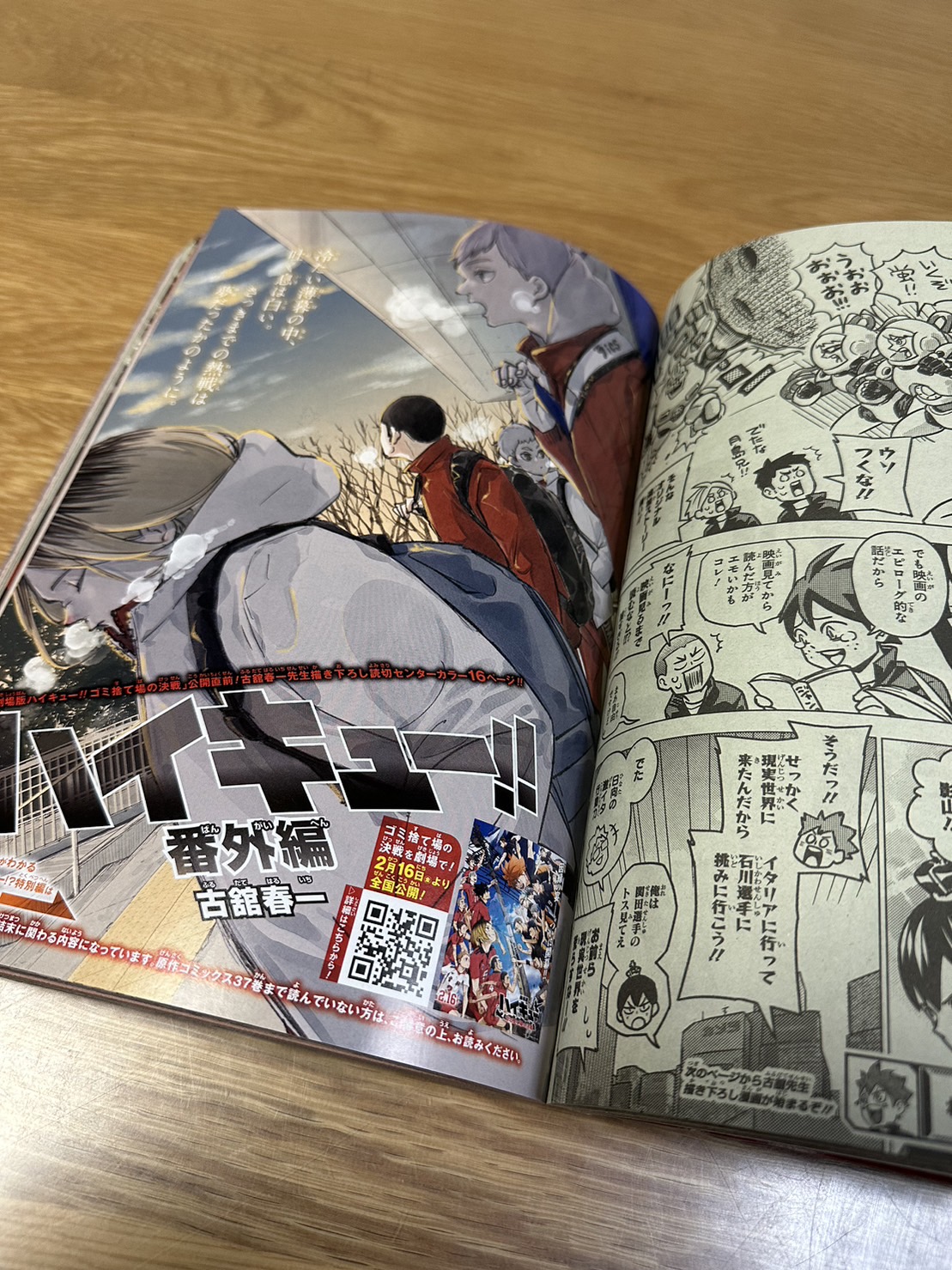 ハイキュー！！ 33.5巻 音駒番外編！！ 脂っこい
