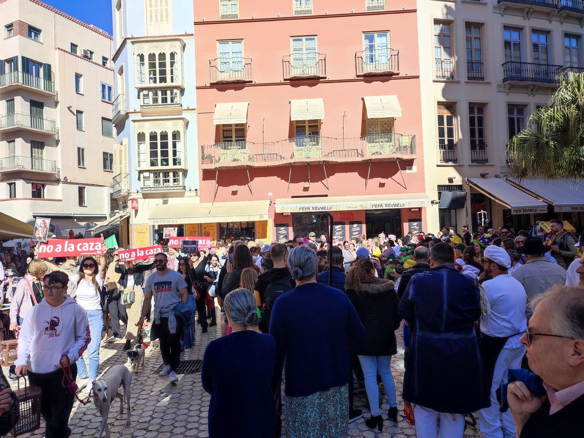 padytan's tweet photo. Que guay, la murguita infantil y una manifestación aprobada por el @malaga  pasando.
Acaso se haría esto el domingo de traslados??
Una maravillosa organización si señor
@CarnavalMLG .
Otra más https://t.co/5tYgFmMufu