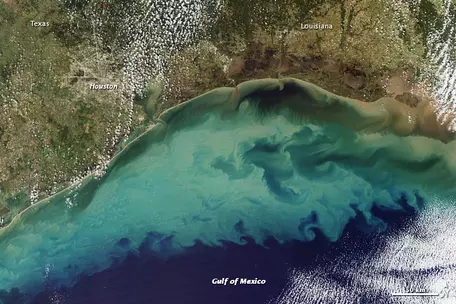 ECOWARRIORSS's tweet photo. He is joking
Gulf of Mexico ocean dead zone of 6,000-7,000 sq miles form Industrial Arg run off
Livestock 14.5% of global greenhouse gas emissions
More than 800 million trees in Brazil Amazon cut down to meet global beef demand between 2017 and 2022
Billions Bees dead from spray https://t.co/ljwpSX3bkd
