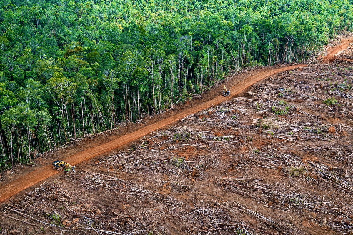 99blackbaloons's tweet image. It took 3.8 billion years for 10 million species to slowly evolve on Earth.  

It has taken just a few hundred years for just one of those species to usher in a global ecosystem collapse which will be the biggest extinction event of the planet 

#amwriting #anthropology #ecology…