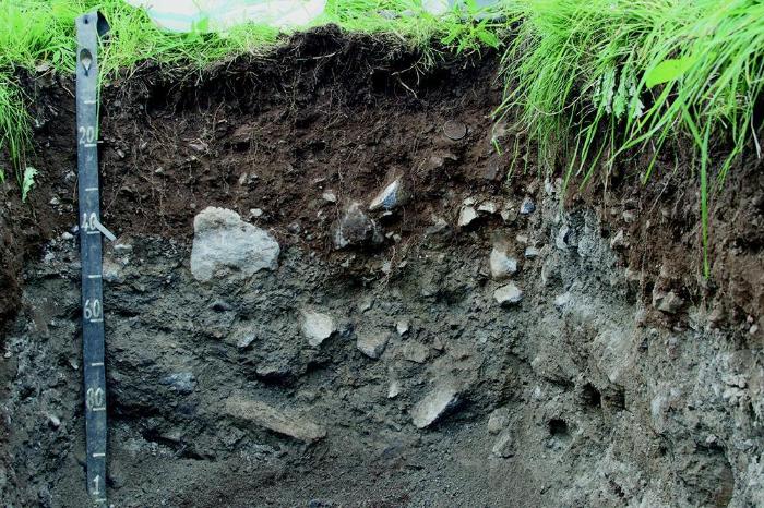 Carbon sequestration, the capture of carbon into soil, can be an effective tool to combat climate change. Learn more:
bit.ly/48YM0Om