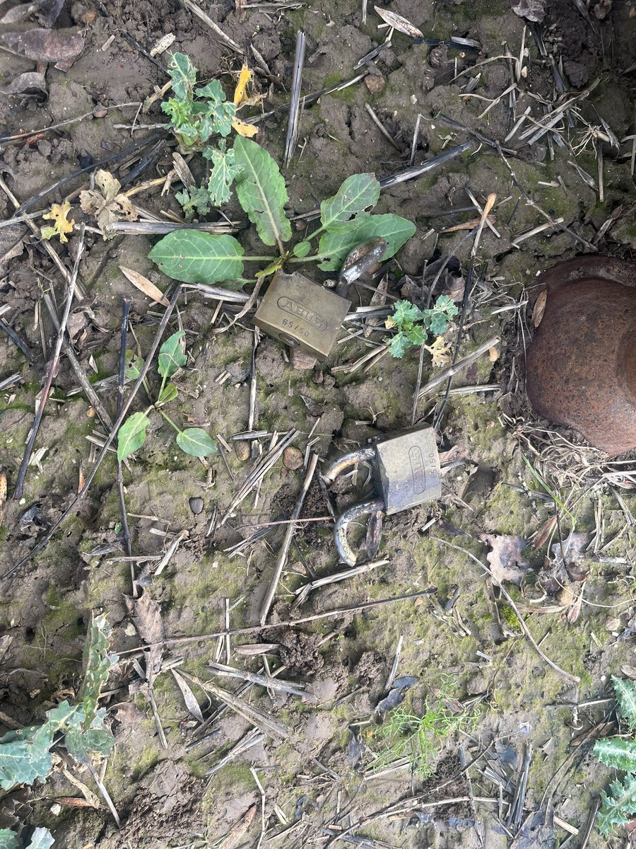 Richard Tagg tweet media