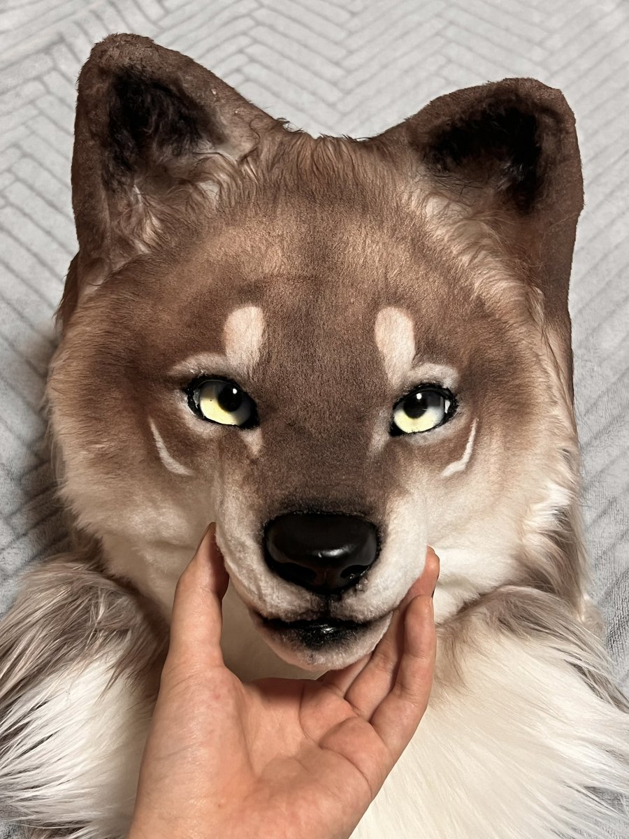 다이소 화장품 추천템 마스크팩 레티놀크림 인기 품절템 : 네이버 블로그, image size:900x1200