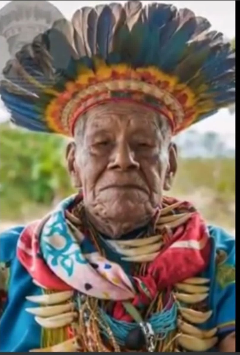 Lamentamos profundamente la partida de este plano terrenal del Taita Querubín y acompañamos a su familia en su duelo y le decimos gracias al unisono por la vida y obra de un hombre que se dedicó a entregar su sabiduría al mundo para su cuidado y protección. Hasta siempre Taita.