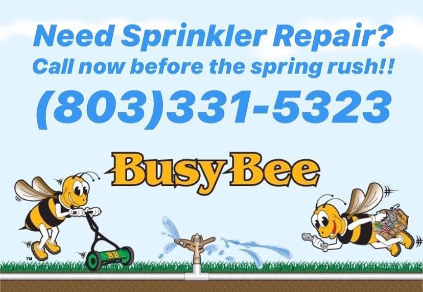 Busy Bee Lawn Care tweet media