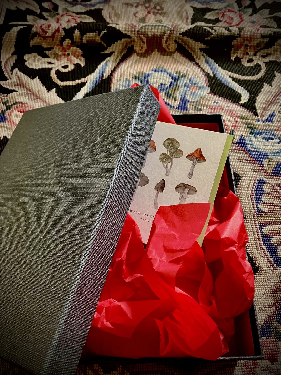 🖤🩸GIVEAWAY 🩸🖤

To celebrate the paperback publication of my #gothic novel #Fyneshade 

#Victorian #Murder #Witchcraft #Secrets 💀🖤🙊
In the box: my scarlet beauty +  decadent dark truffles. 
To enter - like, retweet &amp; follow me here.
UK only
Closes noon Sunday Feb 11