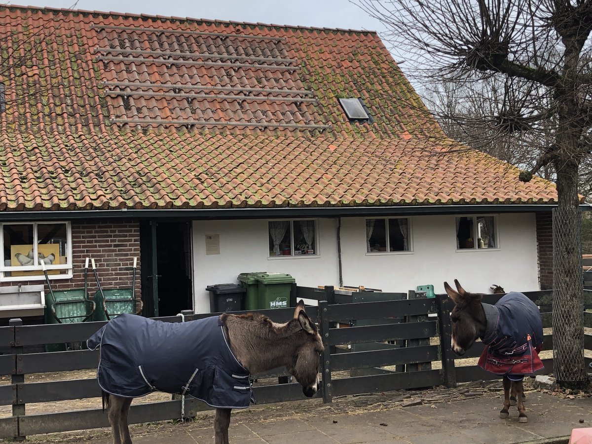 DeNijkamphoeve's tweet photo. Ons project #WarmteBoost (https://t.co/8SzPwrOseA) is weer een stapje verder. De oude zonnepanelen zijn van het dak af. https://t.co/Jz8DNcKTde