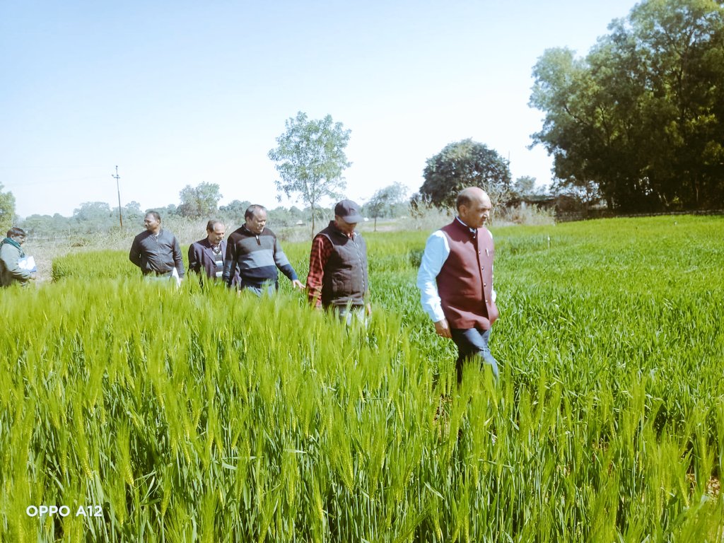 Gysingh5's tweet photo. Visited BAU Ranchi and monitored AICRP trials of wheat and barley today (04-02-2024) morning. This time management of trials are well maintained specially resource management ones. Dr PK Singh  Director Research, Head GPB  Dr Surya Prakash, Dr Naiyar Ali and field staff joined https://t.co/7toMcBNfng