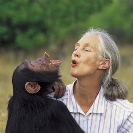 Our next special badger is our Jane Goodall Honey Badger! Honoring Dr Jane Goodall, scientist, conservationist and activist 🐾✨
