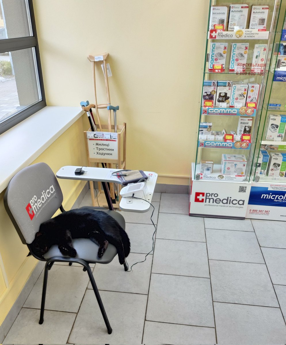 я на ранок після домашнього вина прийшов за цитрамоном