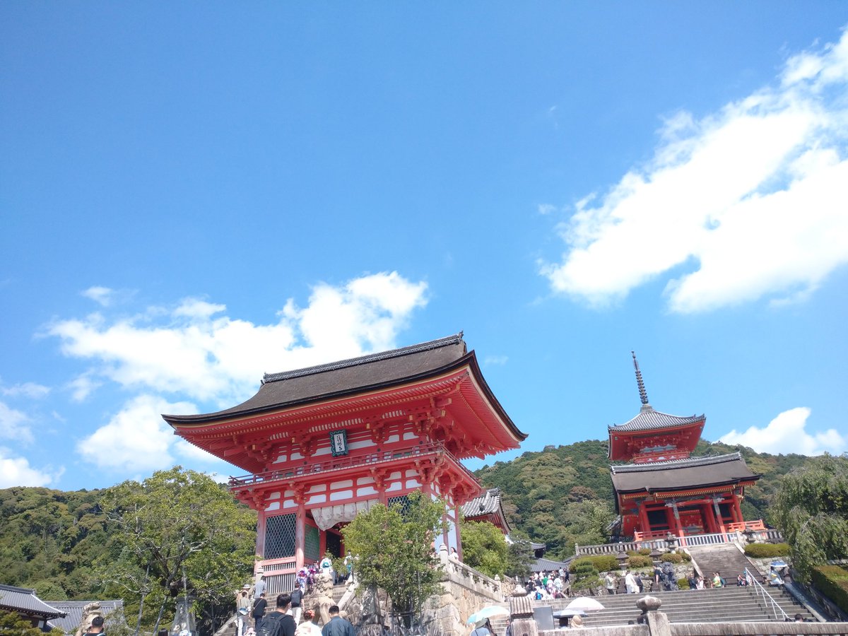 京都市の自然と景観を守る為には福山さんのほうがエエかも知れんな