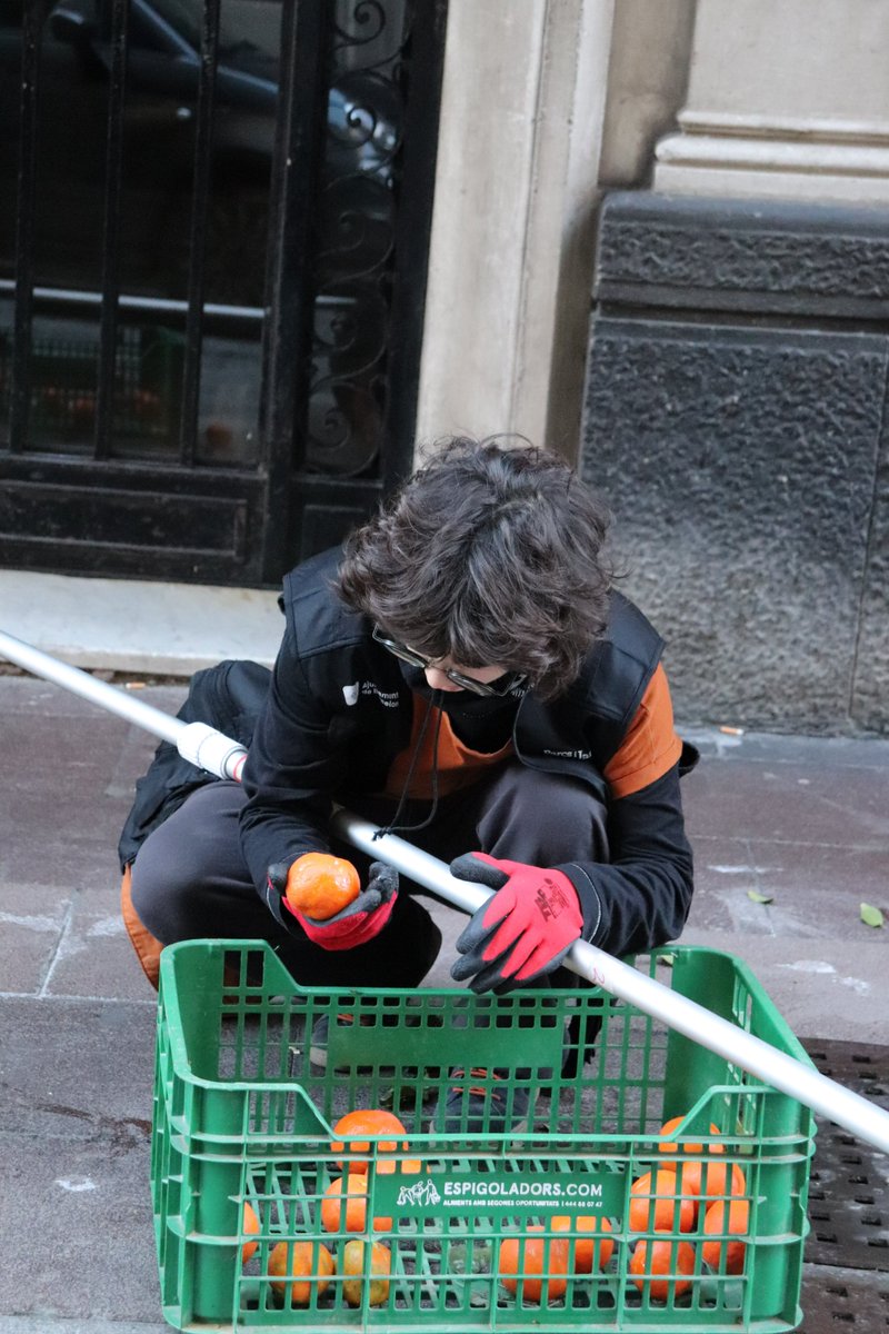 espigoladors's tweet photo. Seguim amb #BarcelonaEspigola! 🎉

🍊Avui hem recorregut els carrers de @Bcn_Gracia per recuperar 1.440 kg de #taronjaamarga. 

Gràcies a les 76 persones veïnes i d'entitats diverses del barri que ens heu acompanyat. 🙏

@barcelona_cat https://t.co/d1npjszINb