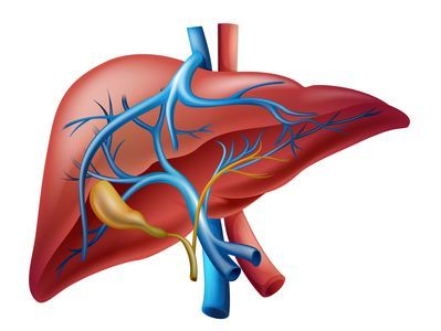 McVitamins's tweet image. What to do for your health after you gallbladder has been removed?
buff.ly/39riIyx
 #gallstones #bilesalts #fatabsorption #sideffects #surgerypain