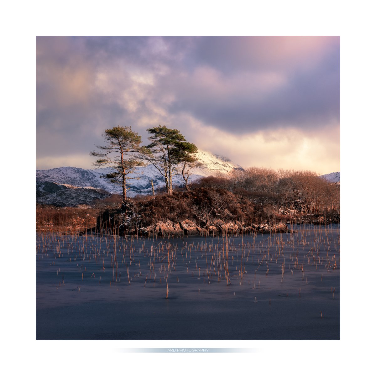 LOCH DRUIM SUARDALAIN I've shown photos of this spot before, but on this occasion the frozen loch and quick break of sunlight on the scene helped it along. #assynt