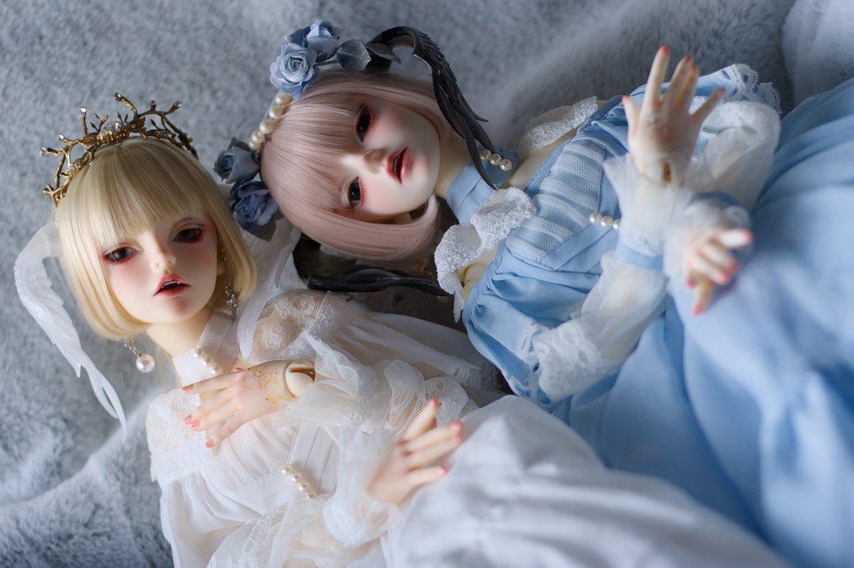 yuuki_shade's tweet photo. 🪽🪽

#TOANIAno
#布花ほうせきひめ
#年末感謝祭2020 https://t.co/to9heDEpeO
