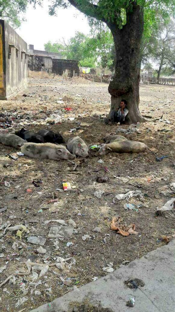 askrajeshsahu's tweet photo. प्यार एकांत खोजता है। इन भाई साहब का एकांत देखकर हतप्रभ हूं। 🙂 https://t.co/ihWZbO360n
