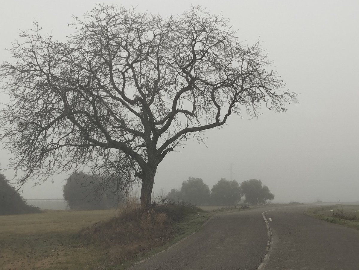 Diumenge, a dos quarts de dos. Boira plana i 6°. 
Per mi anticicló=boira.
Hi ha una paraula molt bonica per definir-te en dies així "engorronida" i m'agrada !!.  #boira <a href="/LABOIRADEPONENT/">Laboiradeponent</a>