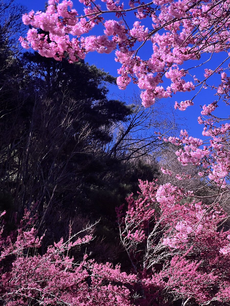 Joel tweet media